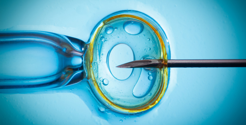 fertilizacion-invitro-con-transferencia-de-embriones-en-monterrey